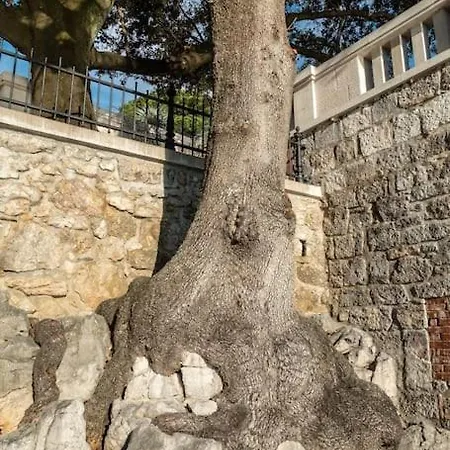 Opatija Sky View - Unique 270° Panorama Appartement